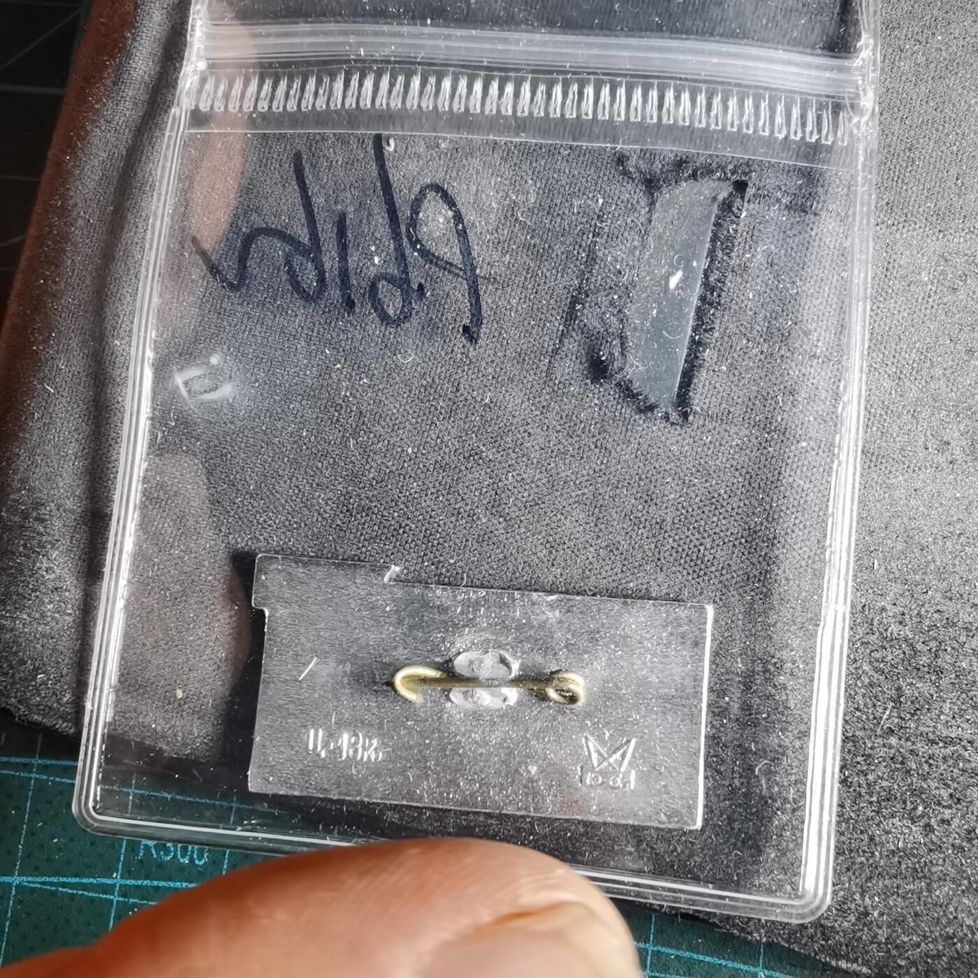 沼泽如烟--第996场 纪念章