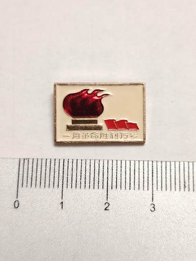 布加迪🐬～世界钱币(上海)🌾第 275 期 /  像章专场 - 火炬像章～一月革命