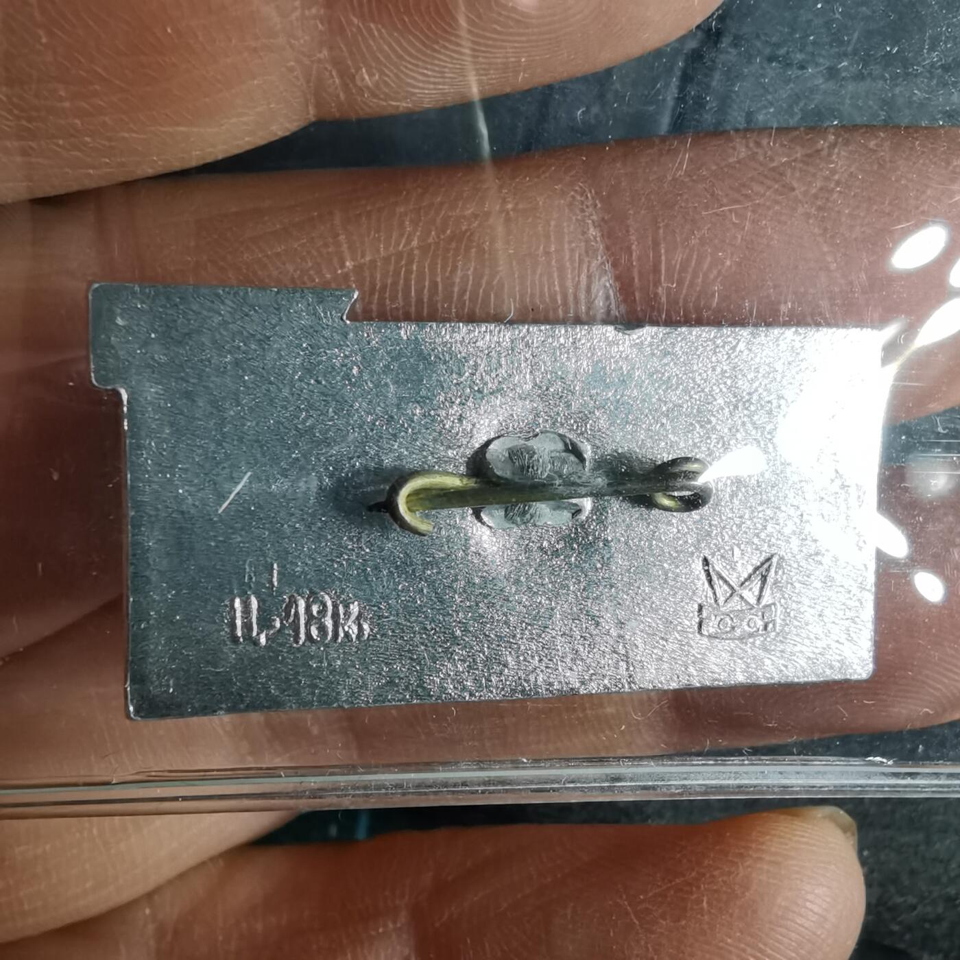 沼泽如烟--第996场 纪念章