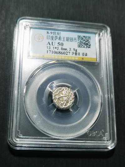 天下钱庄专场欢迎参拍 - 萨希王朝银币