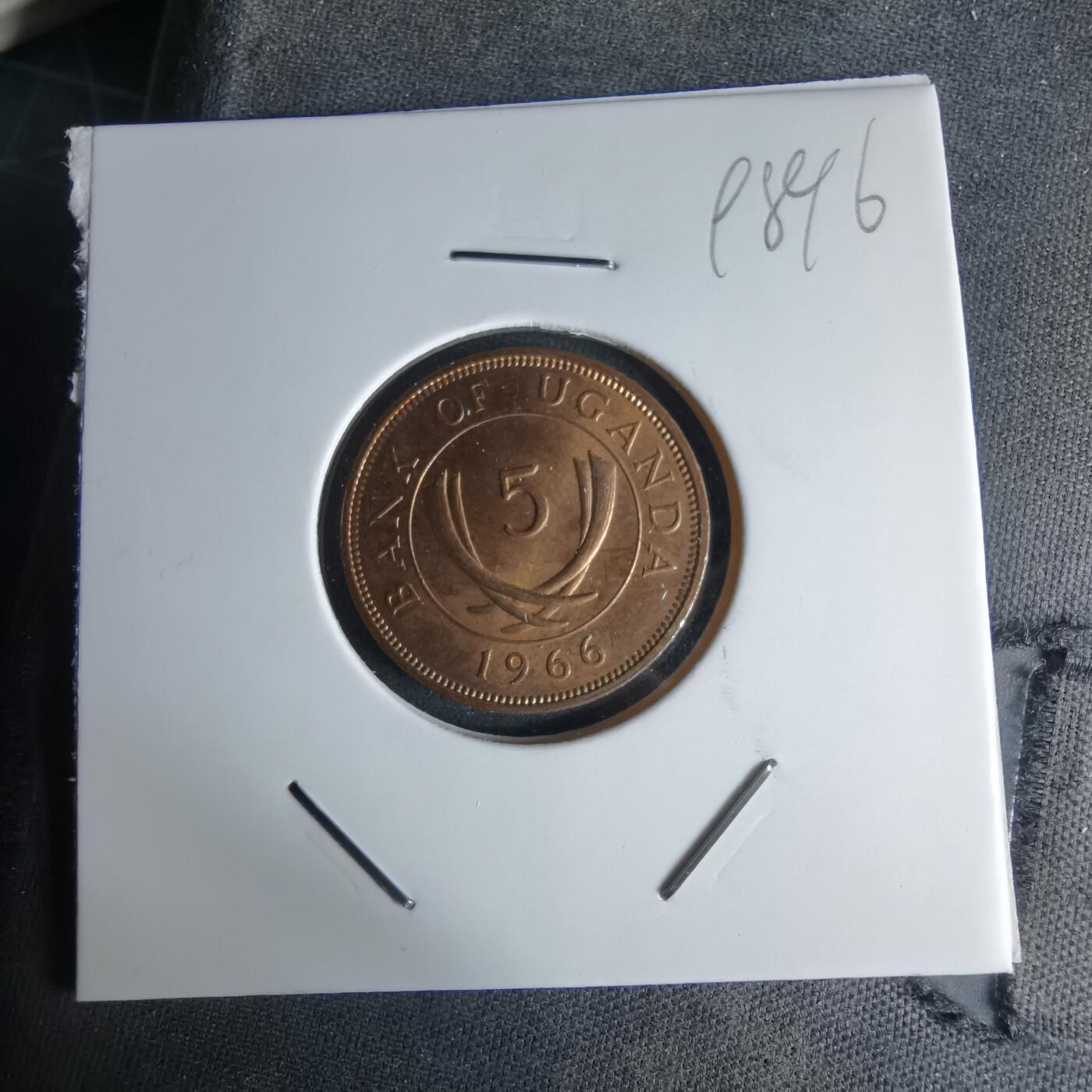 沼泽如烟--第998场