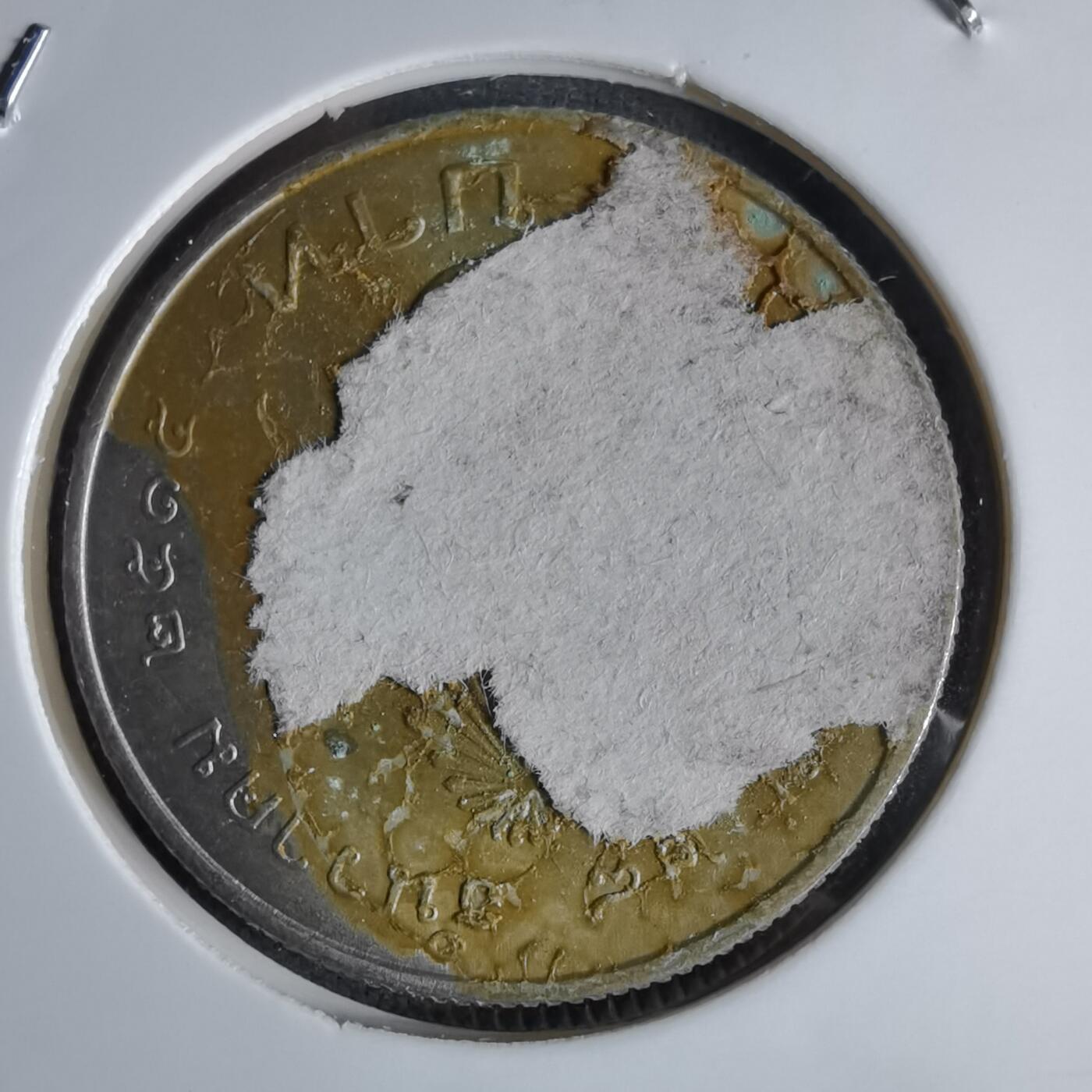 沼泽如烟--第998场 泰国