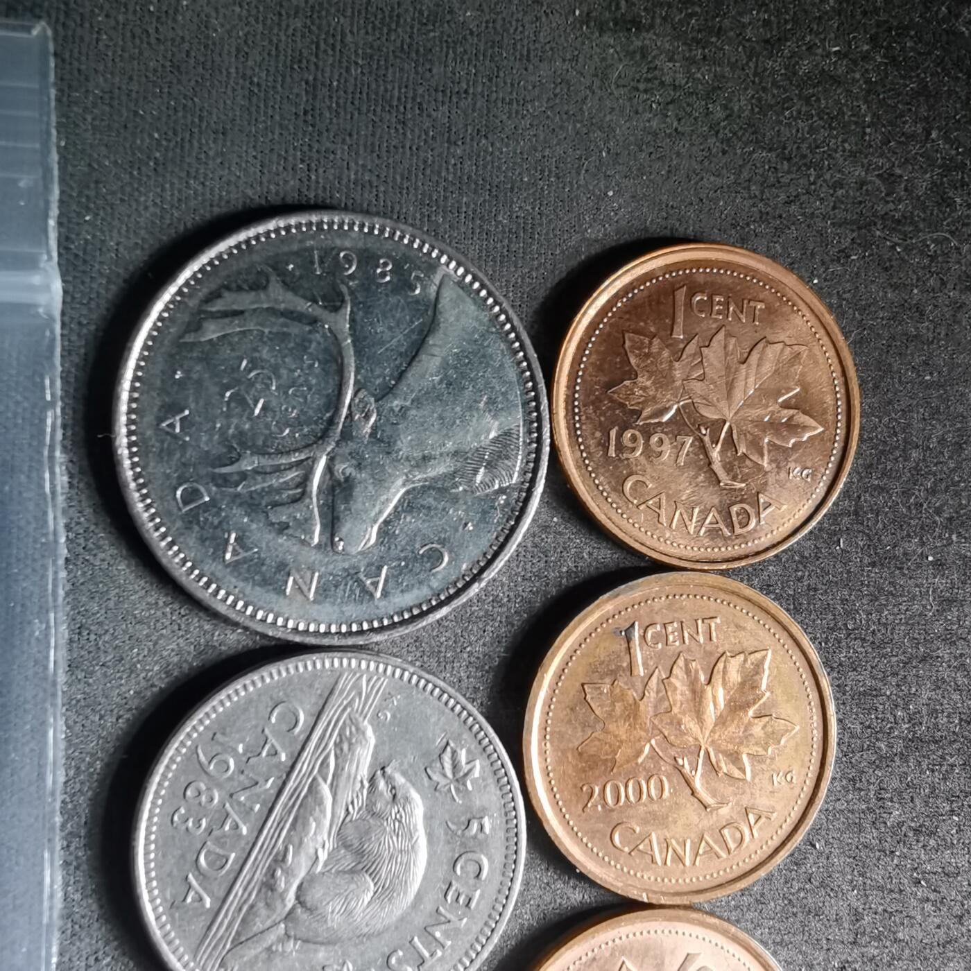 沼泽如烟--第996场 加拿大七枚