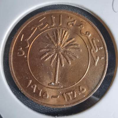 沼泽如烟--第998场 - 巴林