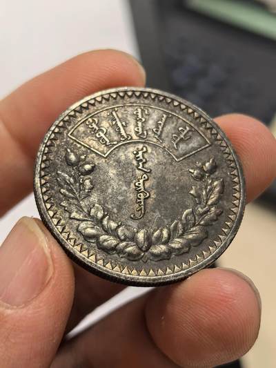 博洋堂世界钱币拍卖第162期（全场包邮） 蒙古1925年1唐吉银币，黑彩包浆