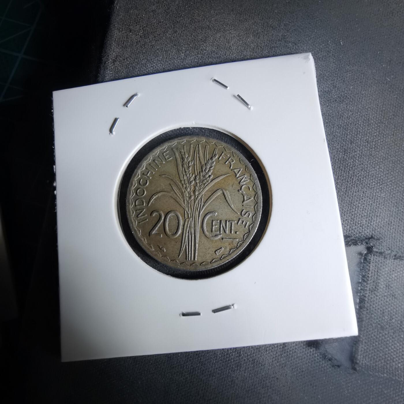 沼泽如烟--第998场