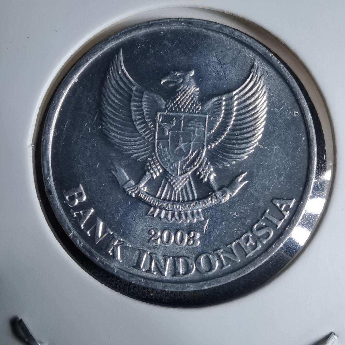 沼泽如烟--第997场