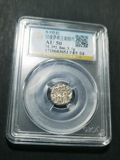 天下钱庄专场欢迎参拍 - 萨希王朝银币