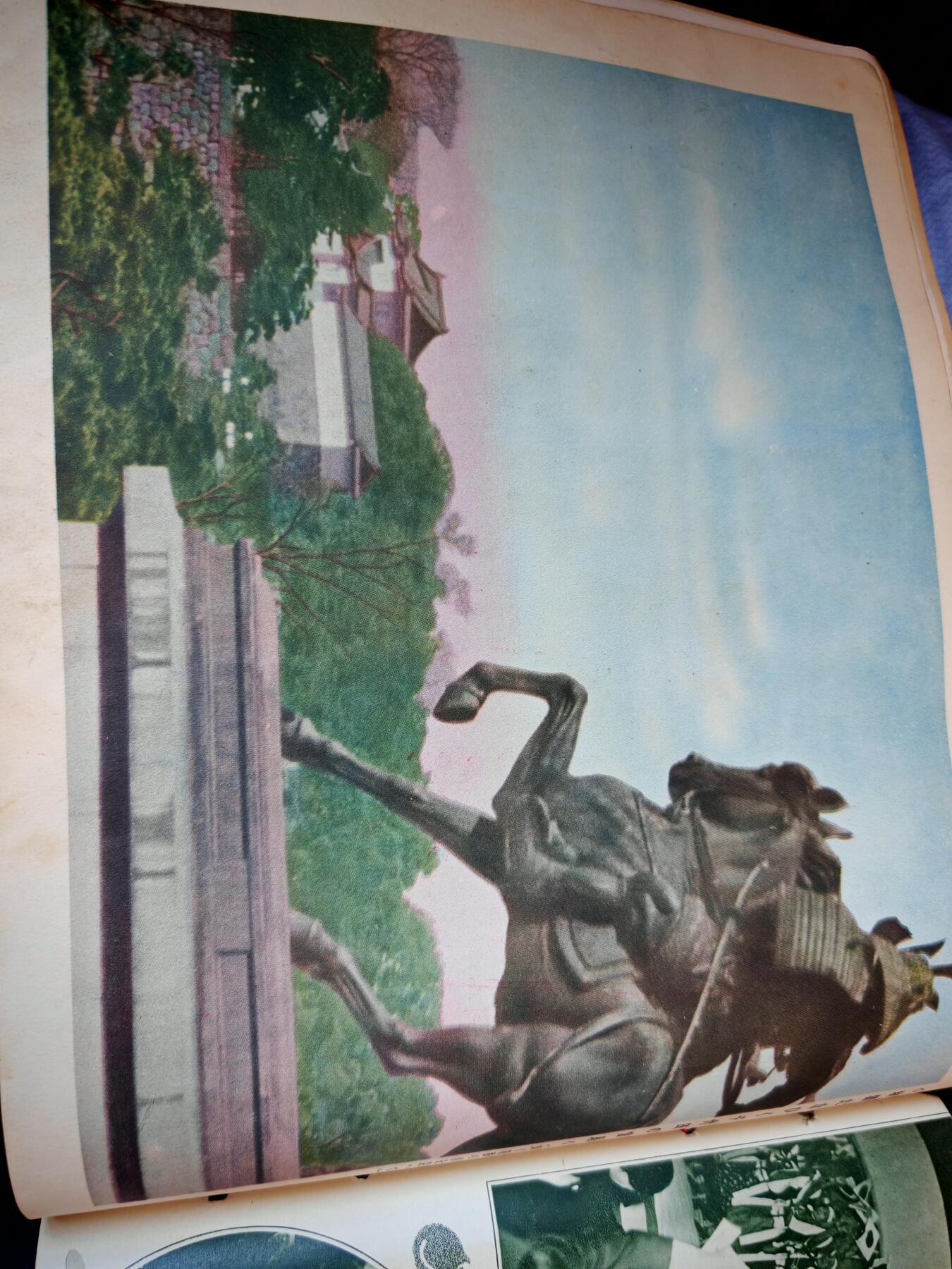 时顺第二十九拍(新年大拍)