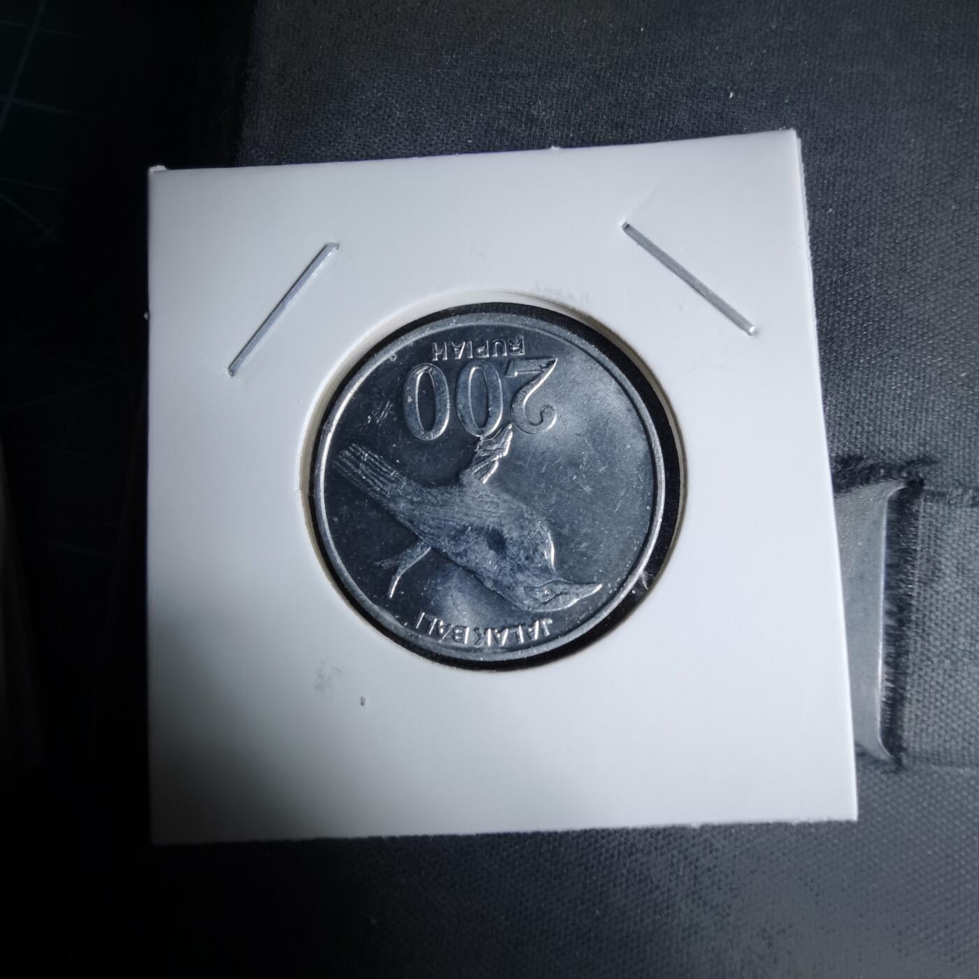 沼泽如烟--第997场