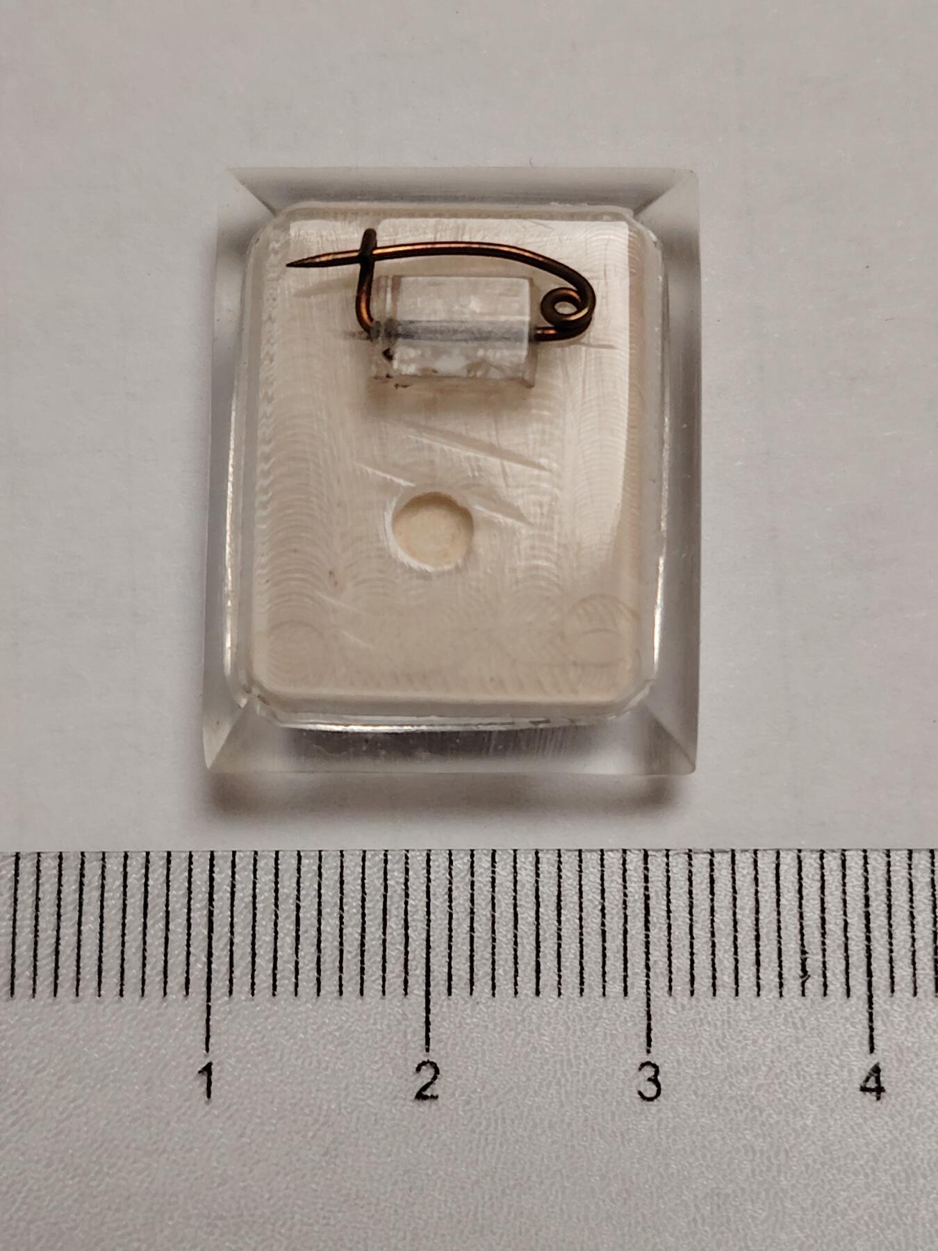 布加迪🐬～世界钱币(上海)🌾第 275 期 /  像章专场 手工自制章～毛主席照片 3