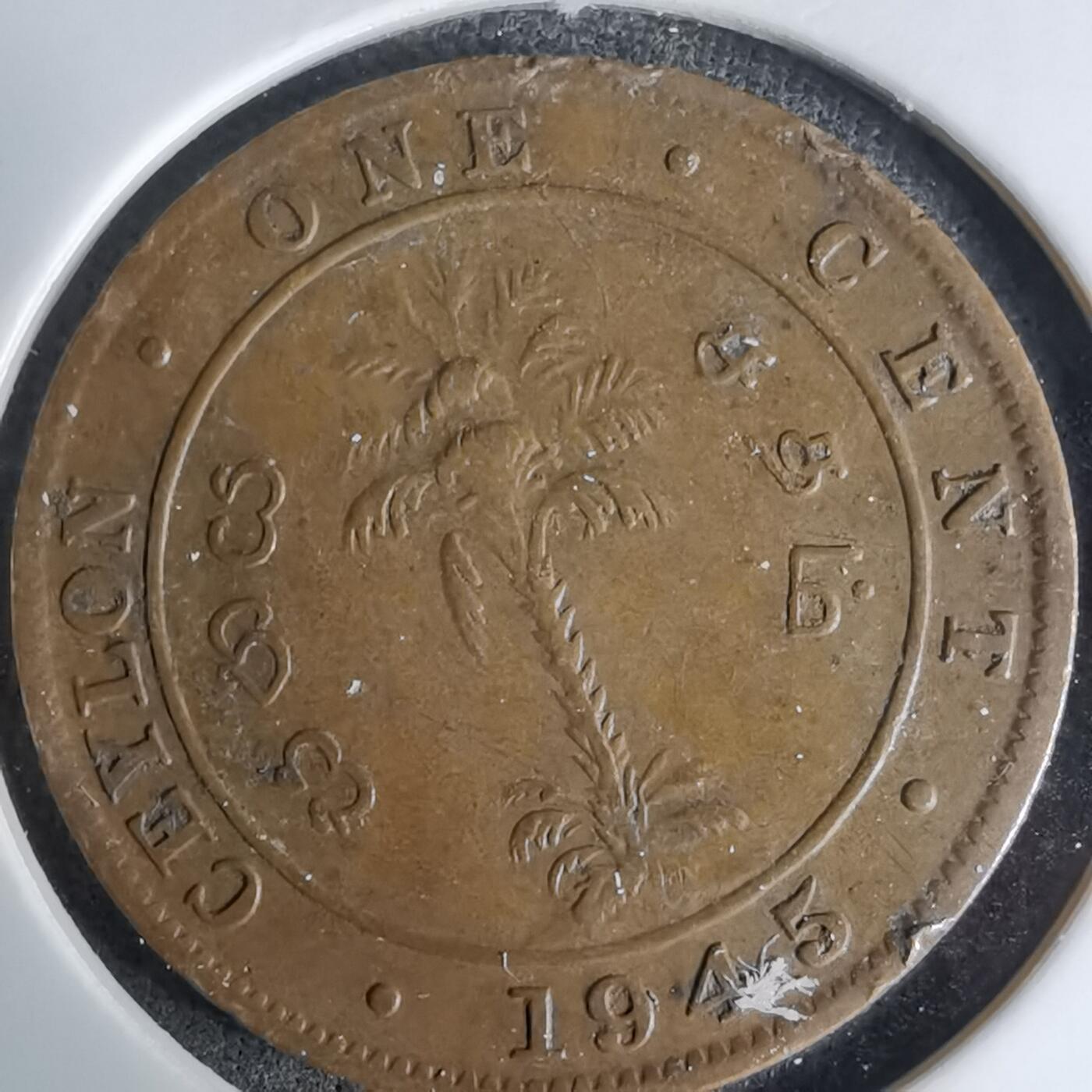 沼泽如烟--第998场