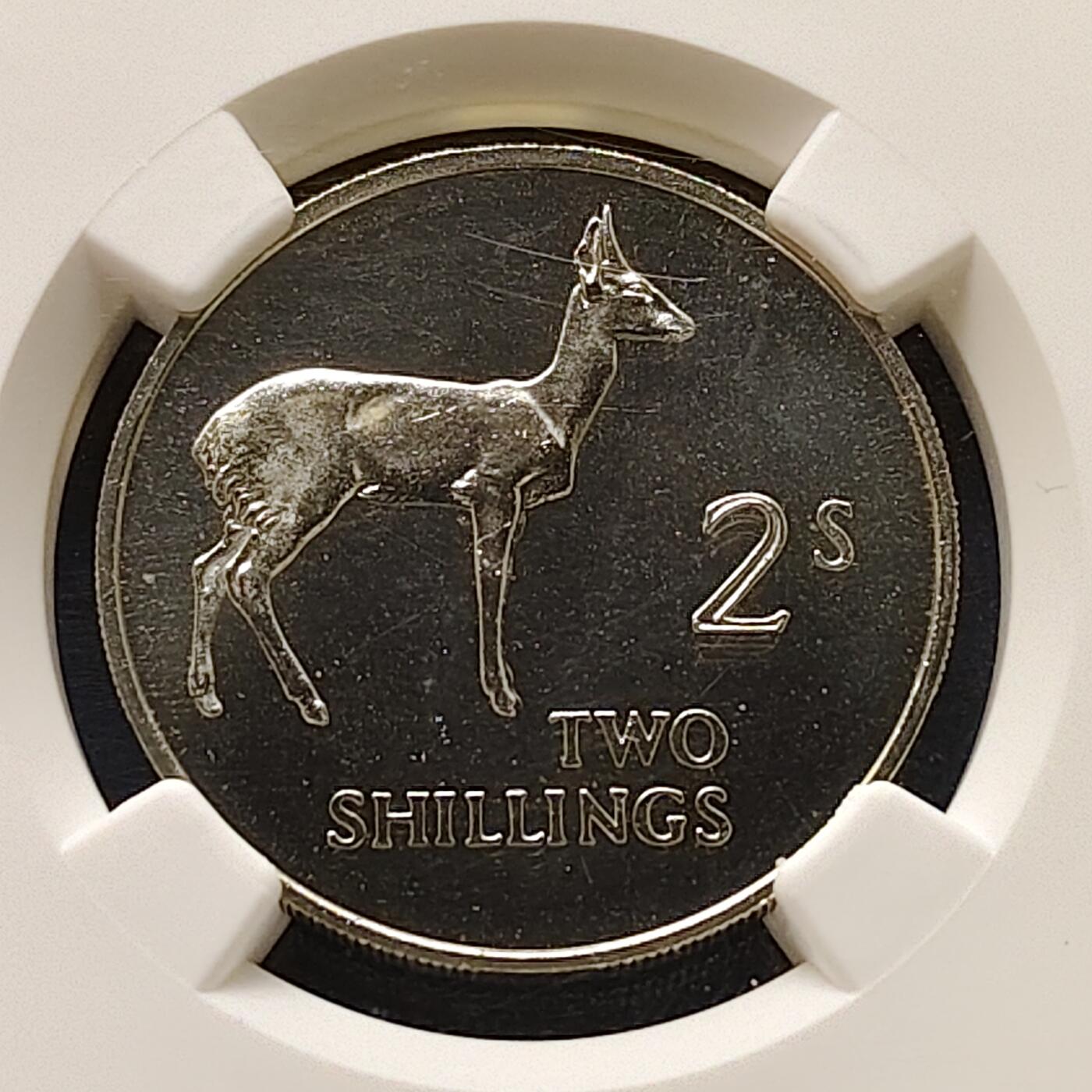 【全场包邮】纯粹捡漏拍505场 【收藏级·冠军分】赞比亚1964年独立首版流通币2先令精制币-NGC PF67 CAMEO