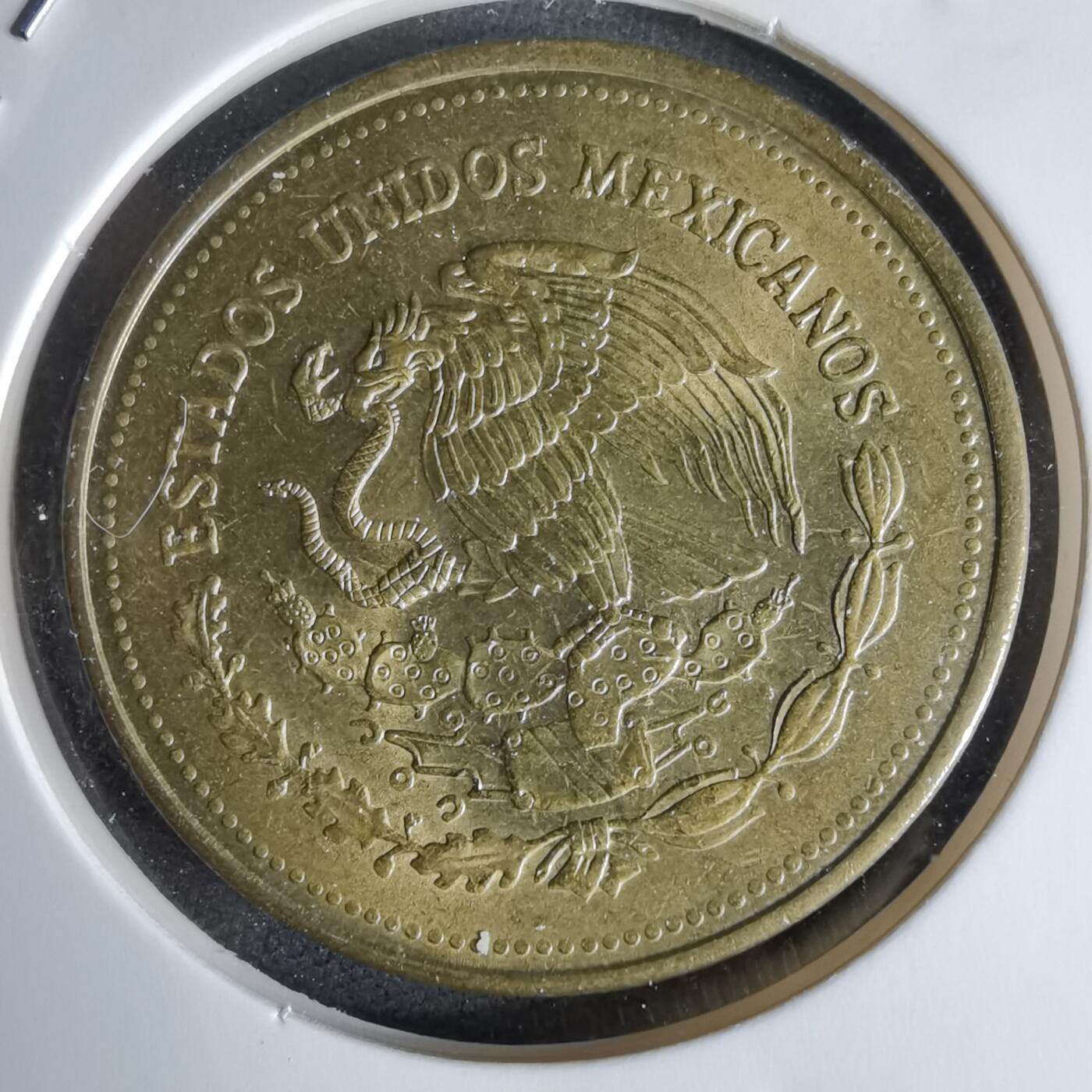 沼泽如烟--第998场