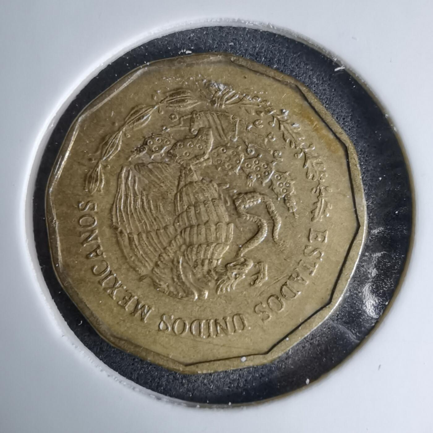 沼泽如烟--第997场