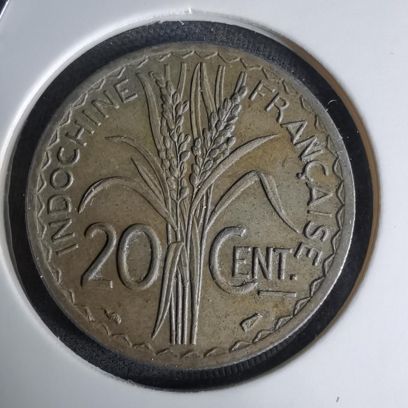 沼泽如烟--第998场