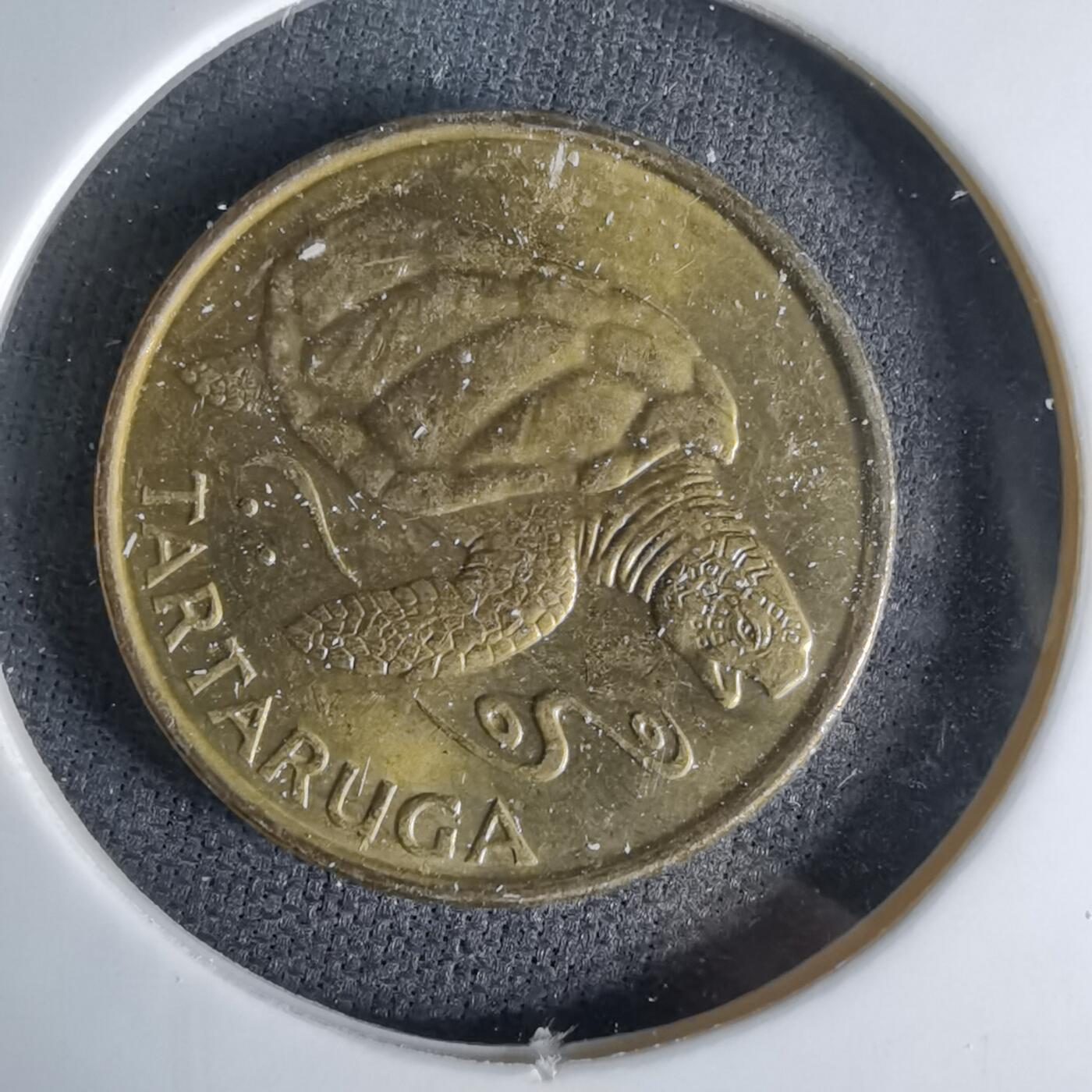 沼泽如烟--第998场