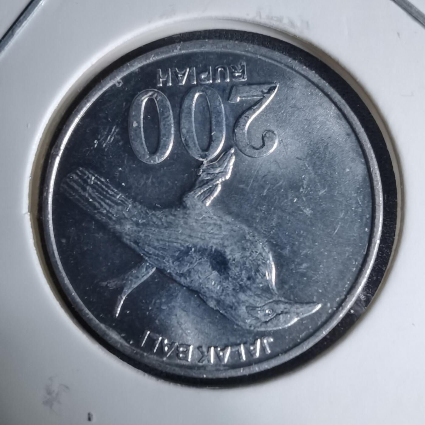 沼泽如烟--第997场