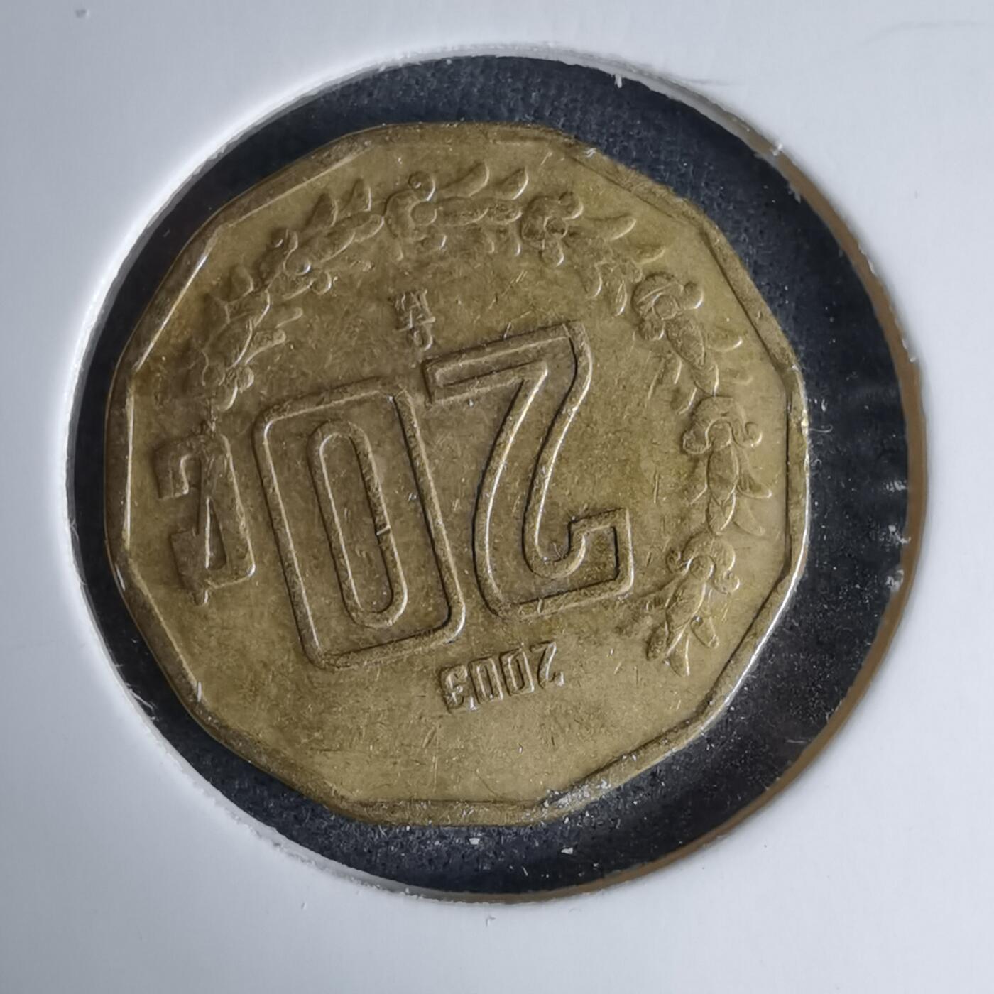 沼泽如烟--第997场