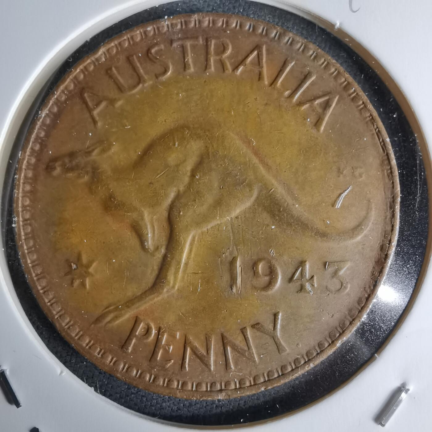 沼泽如烟--第998场