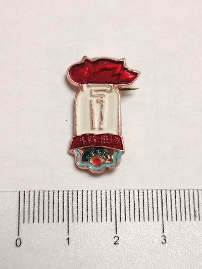 布加迪🐬～世界钱币(上海)🌾第 275 期 /  像章专场 - 火炬像章～12.17 电力修造厂