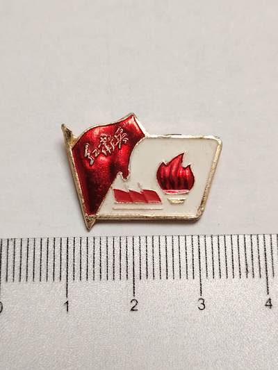 布加迪🐬～世界钱币(上海)🌾第 275 期 /  像章专场 - 火炬像章～上海红中技