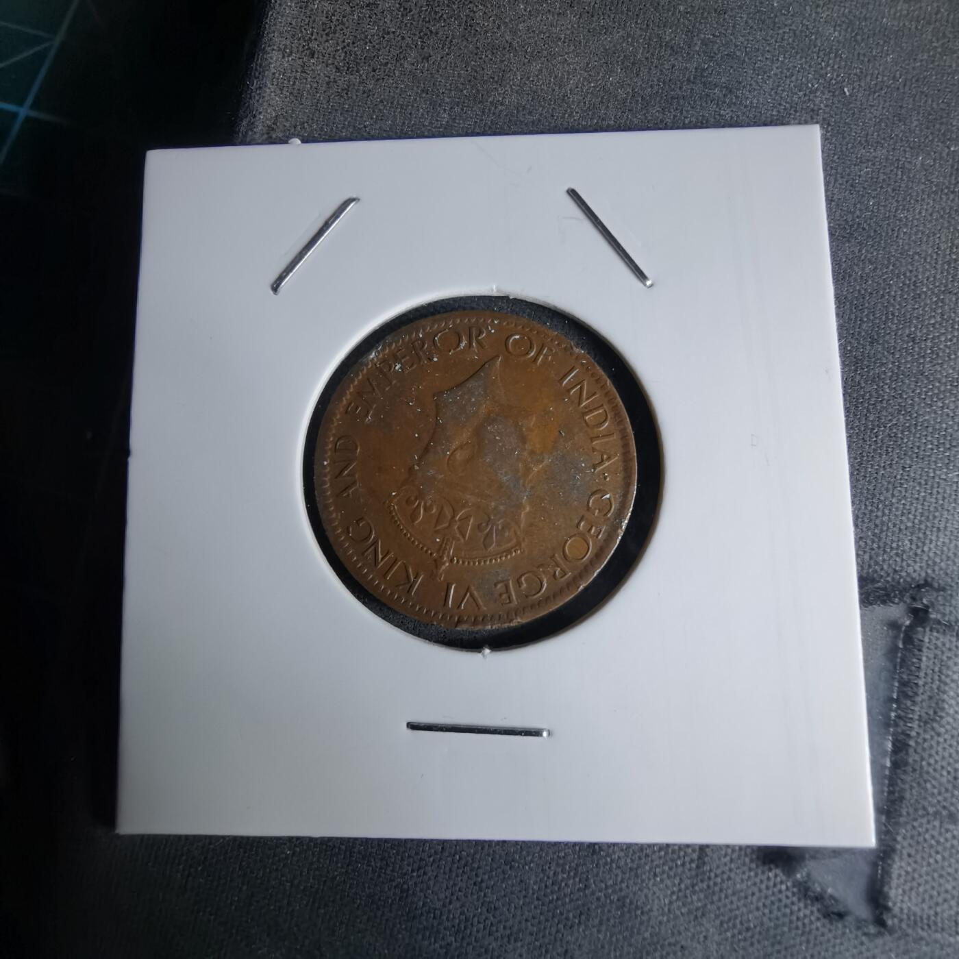 沼泽如烟--第998场