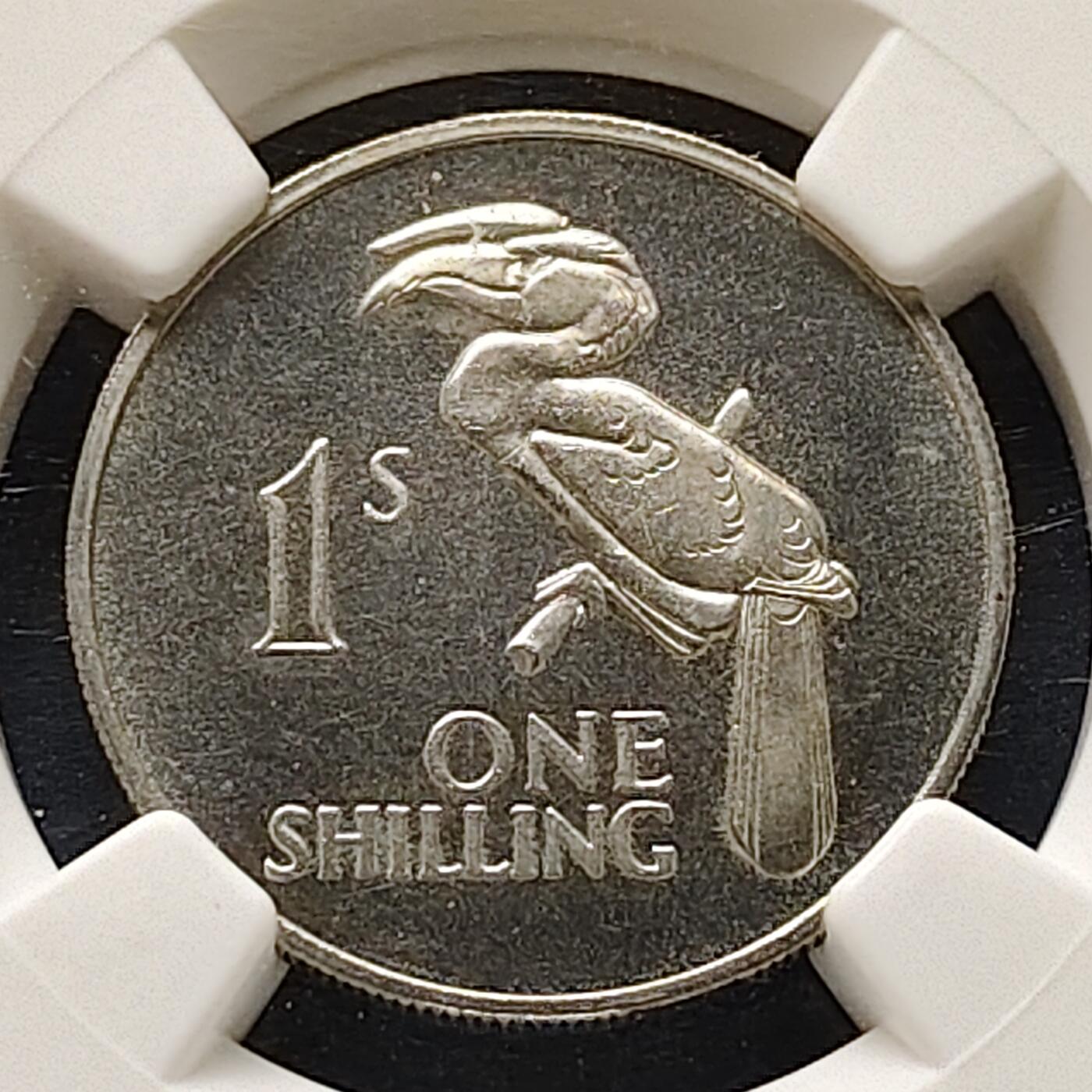 【全场包邮】纯粹捡漏拍505场 【收藏级·冠军分】赞比亚1964年独立首版流通币1先令精制币-NGC PF66 CAMEO