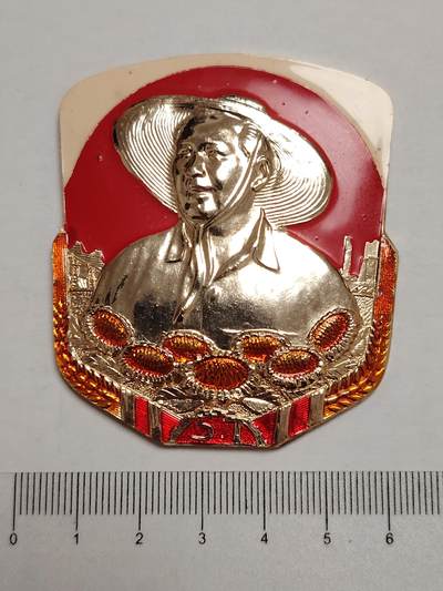 布加迪🐬～世界钱币(上海)🌾第 275 期 /  像章专场 - 像章～向日葵🌻草帽