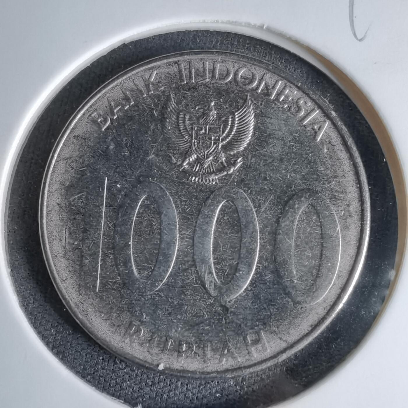 沼泽如烟--第998场