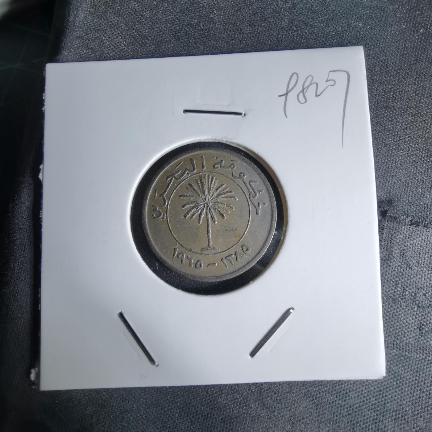 沼泽如烟--第998场 巴林