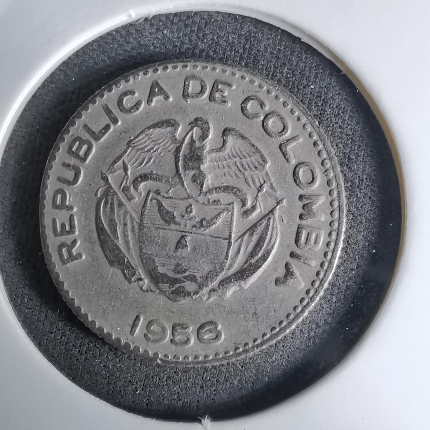 沼泽如烟--第998场