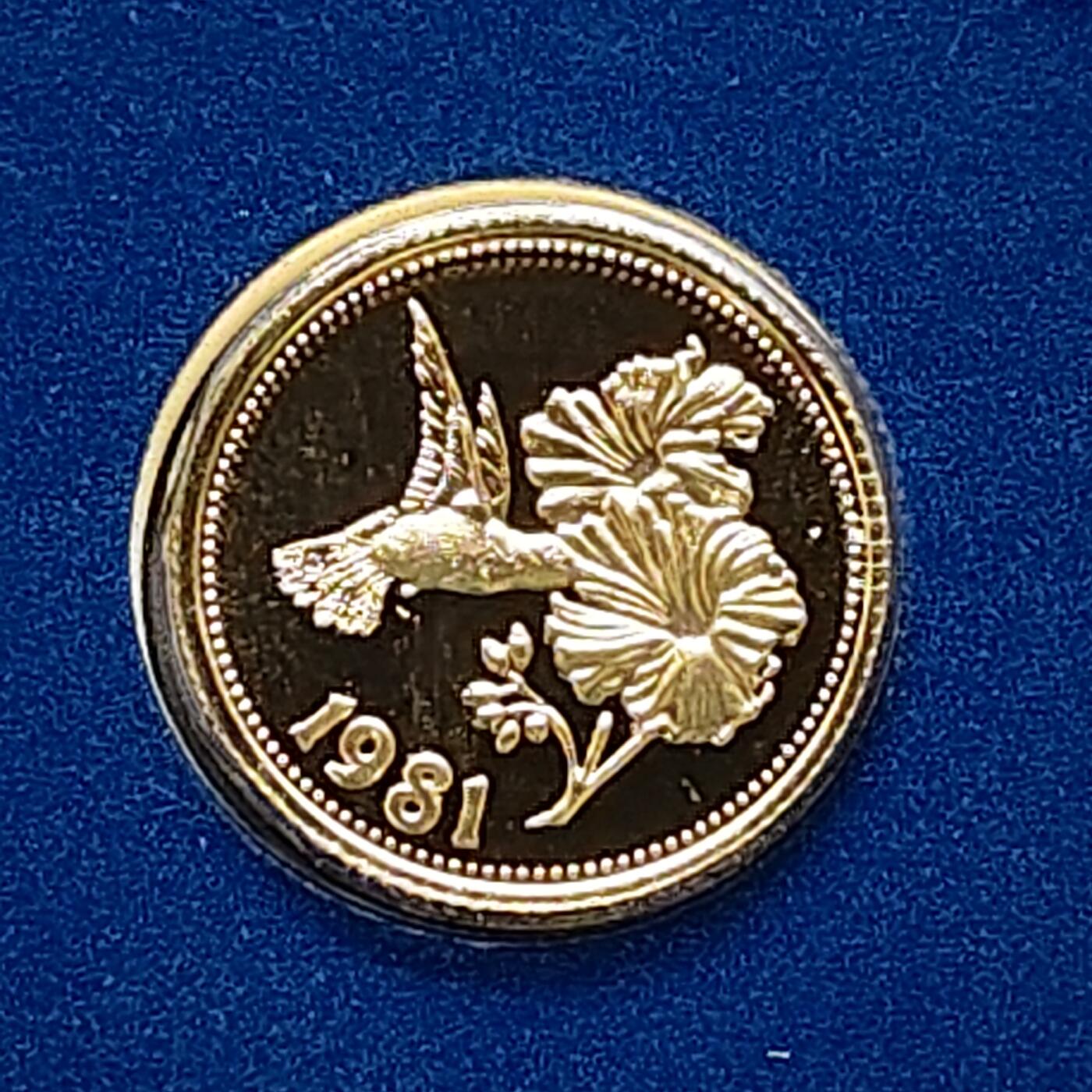 【全场包邮】纯粹捡漏拍505场 【金币·少见】伯利兹1981年50元白颈蜂鸟官方卡装​精制金币【12毫米1.5克50%】-量3073