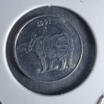 沼泽如烟--第998场 - 印度1991年25派沙