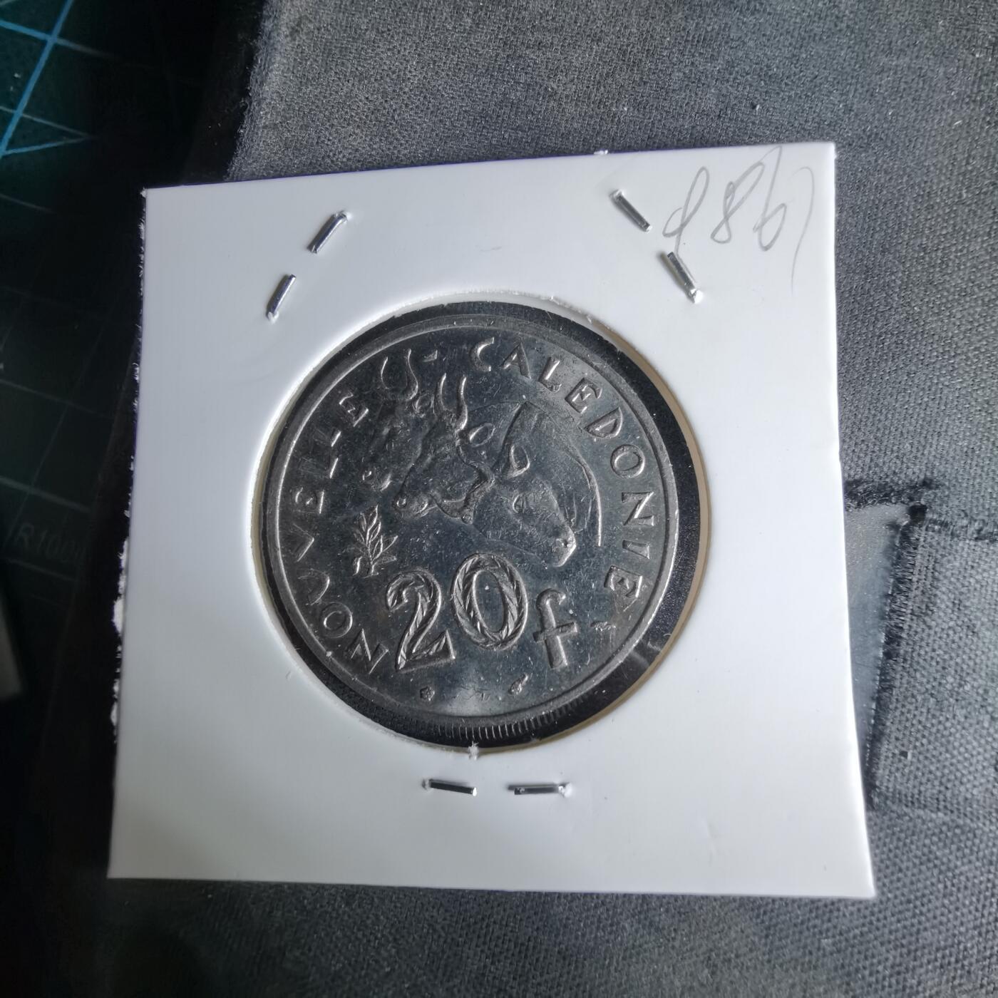 沼泽如烟--第998场