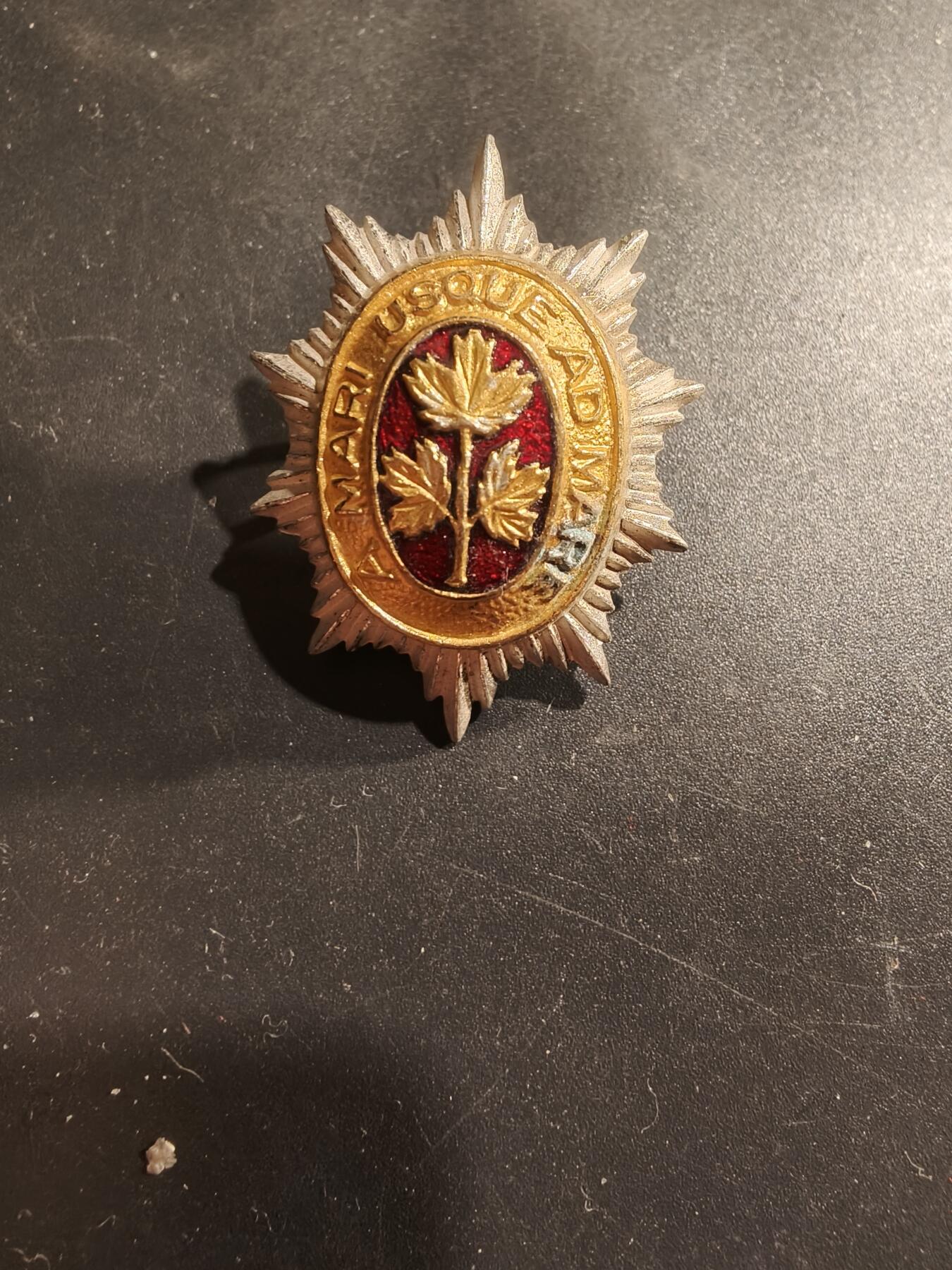 老王徽章第183期 英联邦加拿大卫队帽徽    二战时期