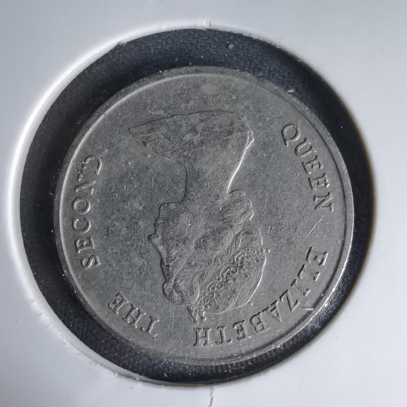 沼泽如烟--第999场