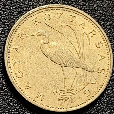 泉币菌-第194场- 新年快乐 新年第二场 本场拍品多 请提前出价 - 匈牙利5福林 白鹭 重4.2克 直径21.2毫米