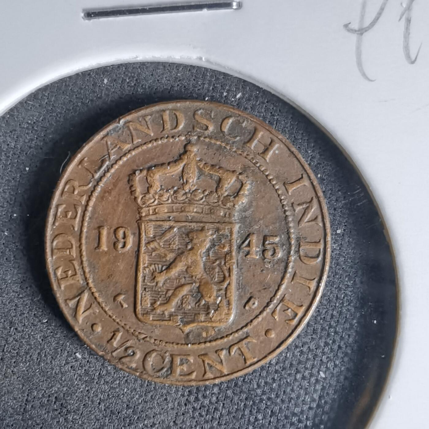 沼泽如烟--第999场