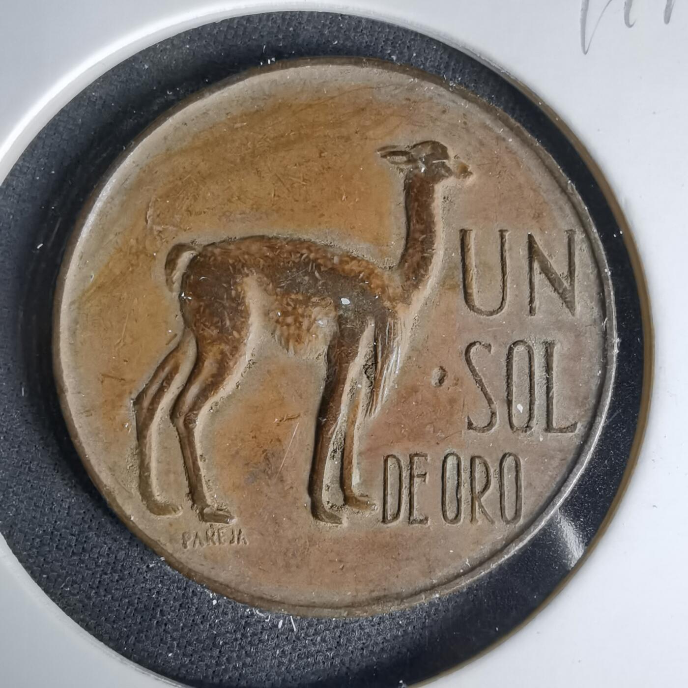 沼泽如烟--第999场