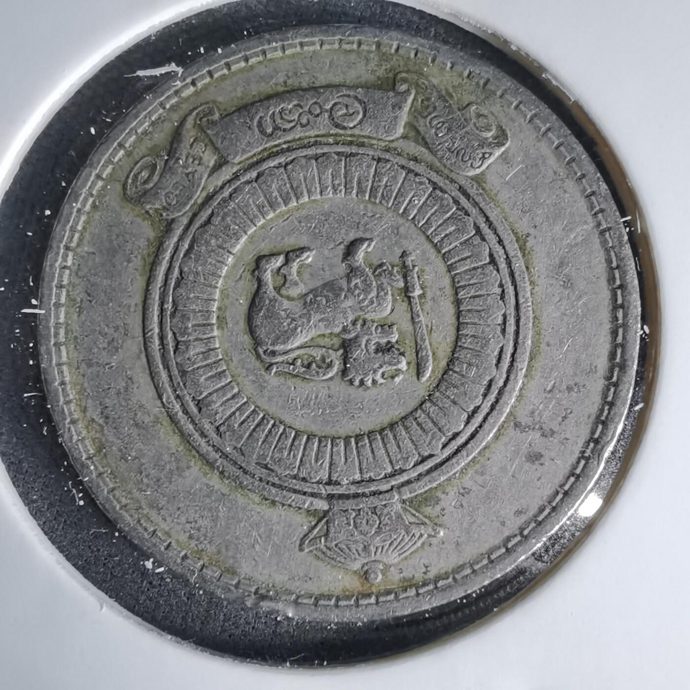 沼泽如烟--第999场