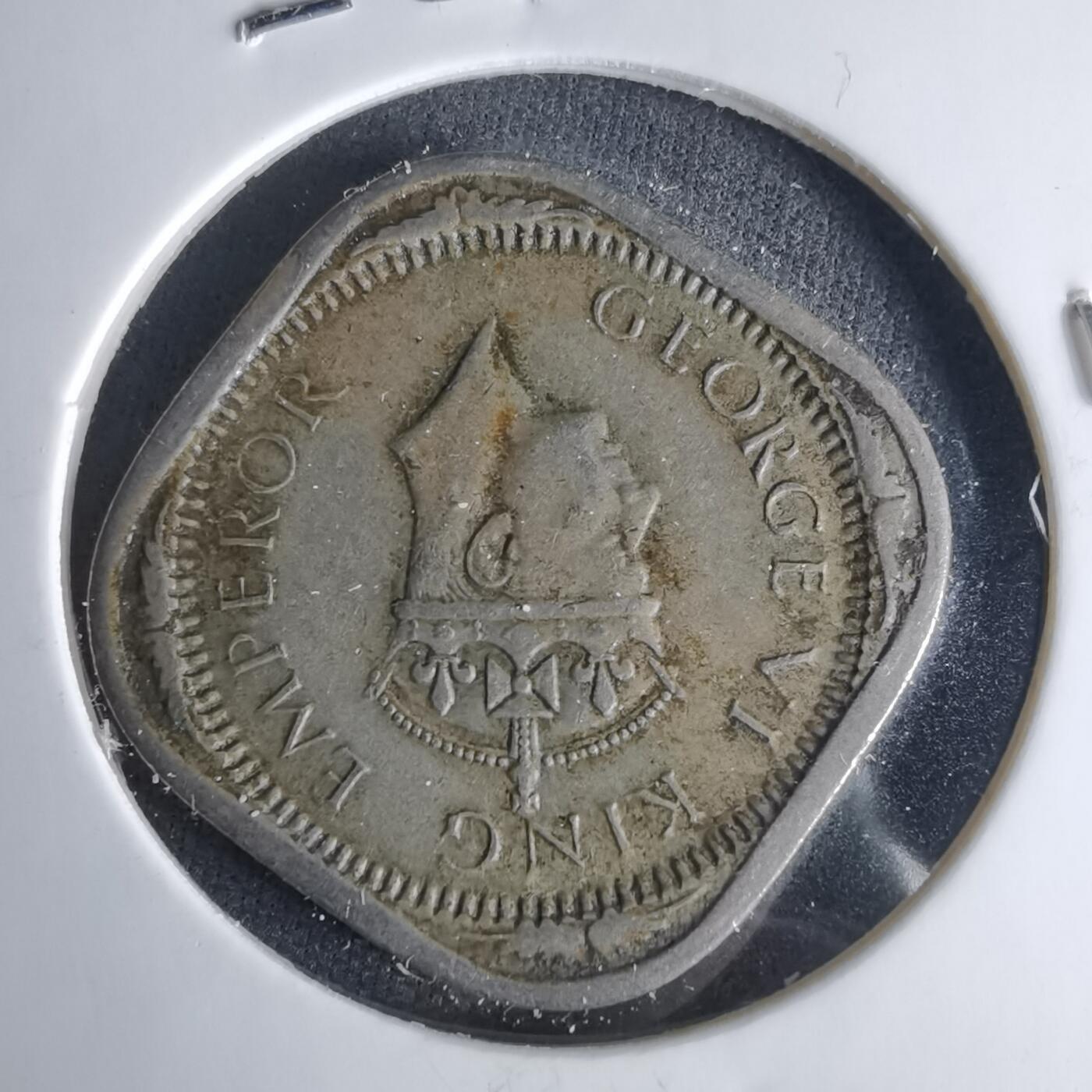 沼泽如烟--第999场