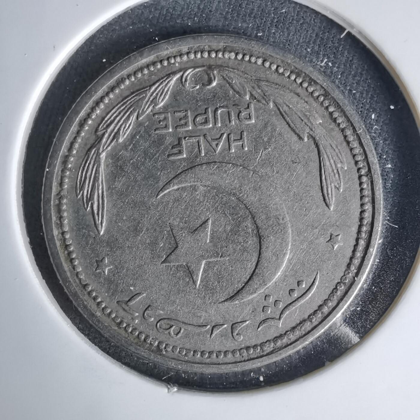 沼泽如烟--第999场