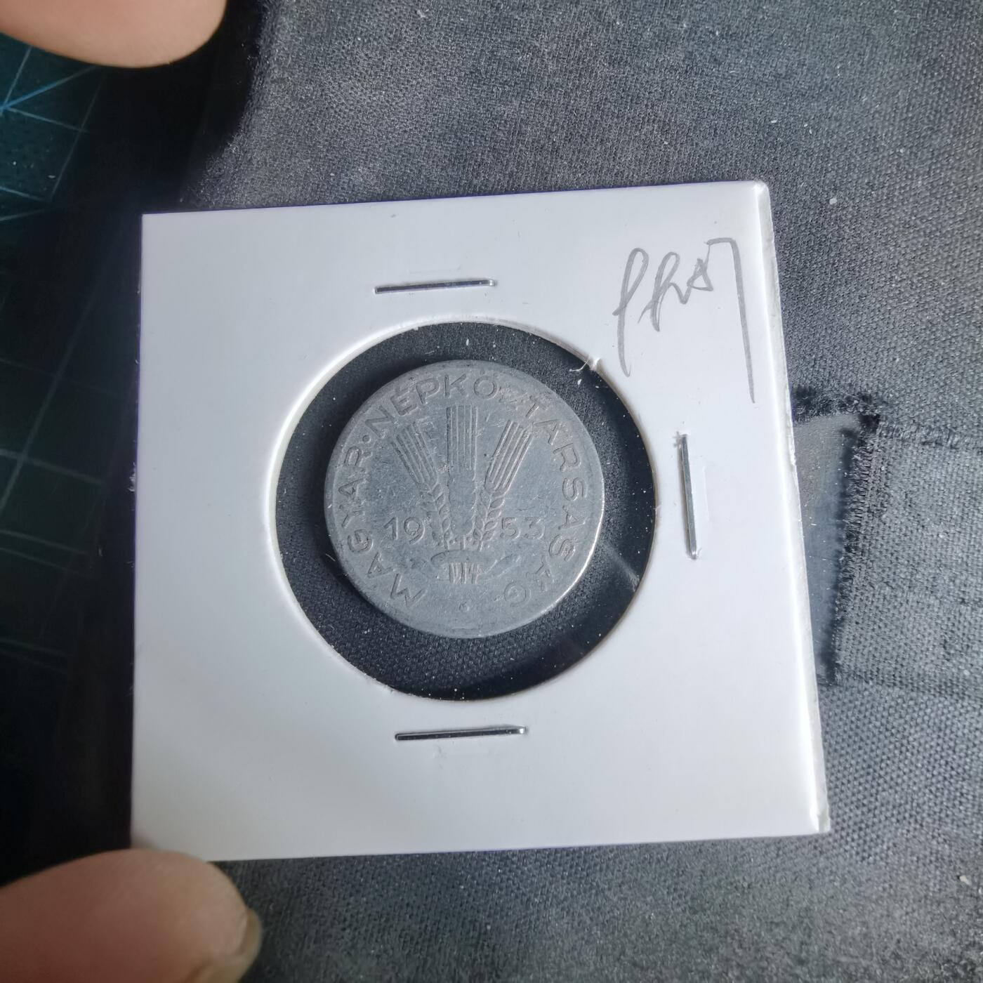 沼泽如烟--第999场