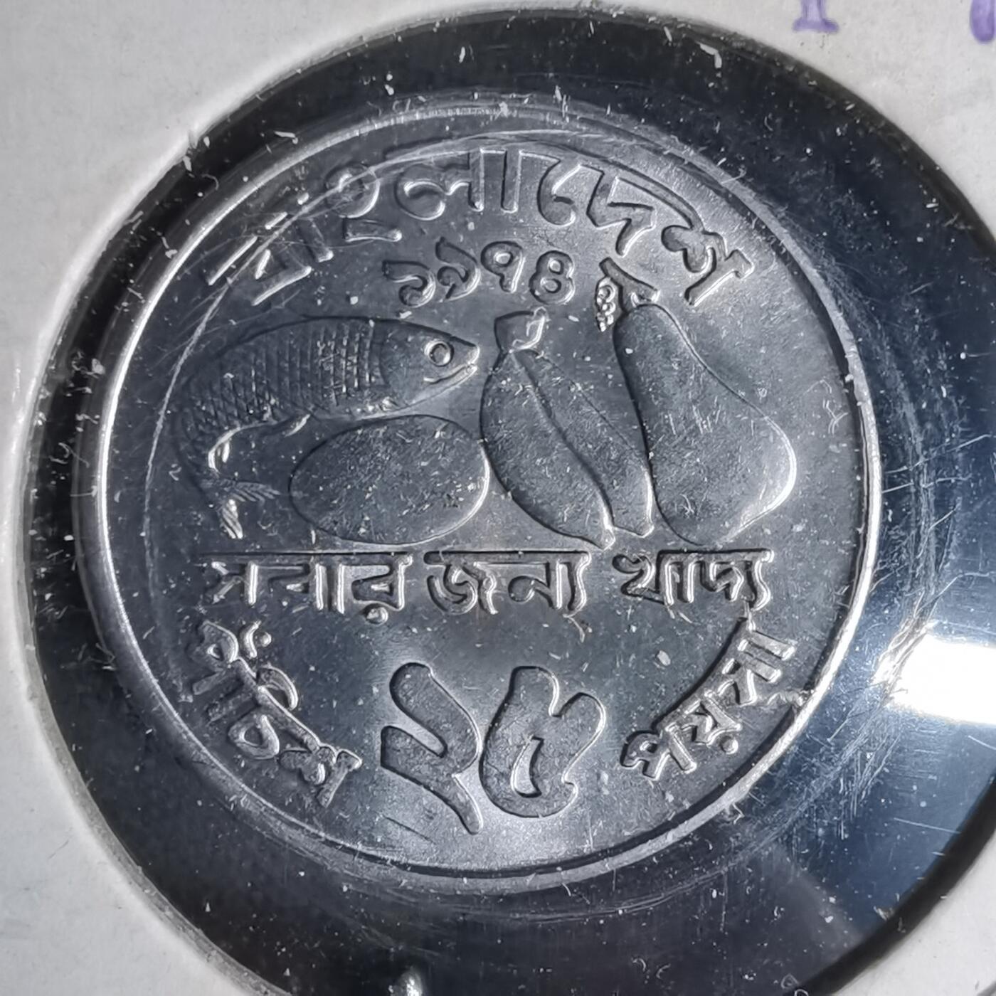 沼泽如烟--第999场