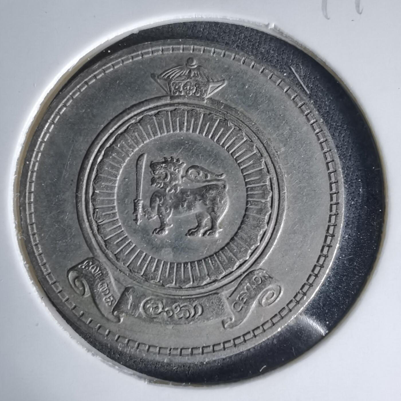 沼泽如烟--第999场