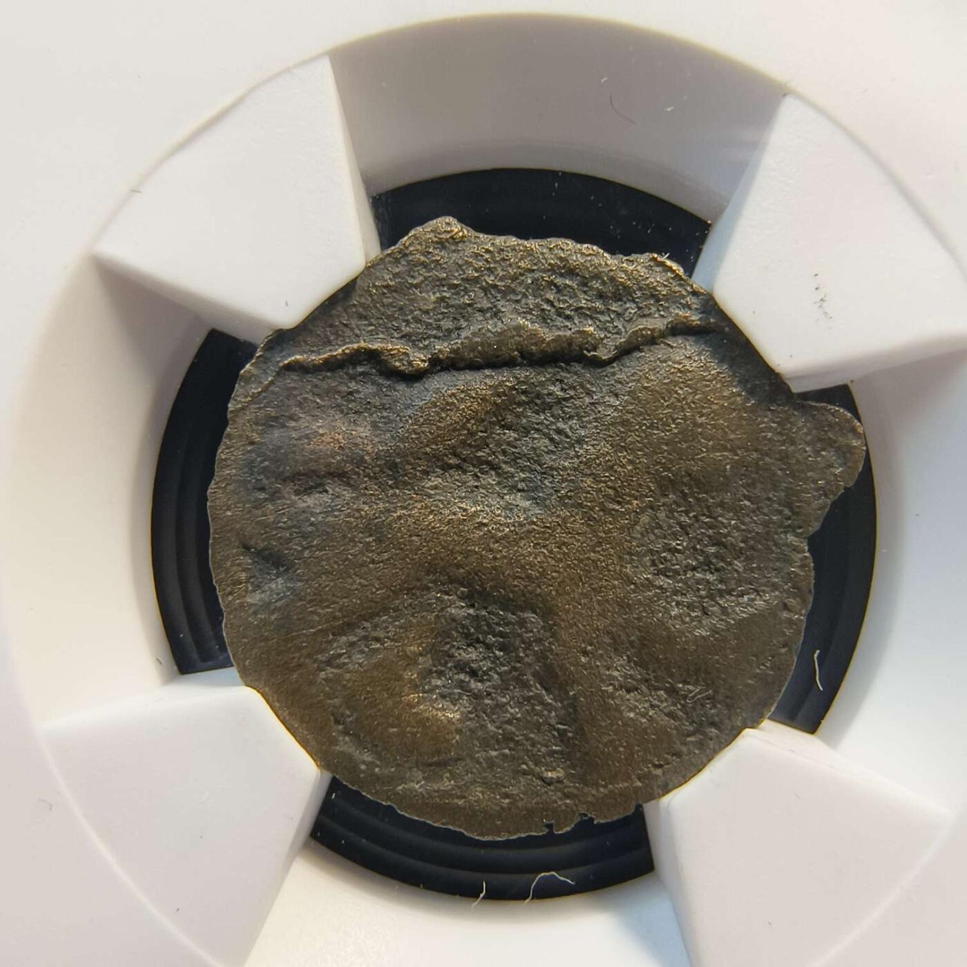 七河·世界世界币章杂件矿标化石小拍（总第38期）