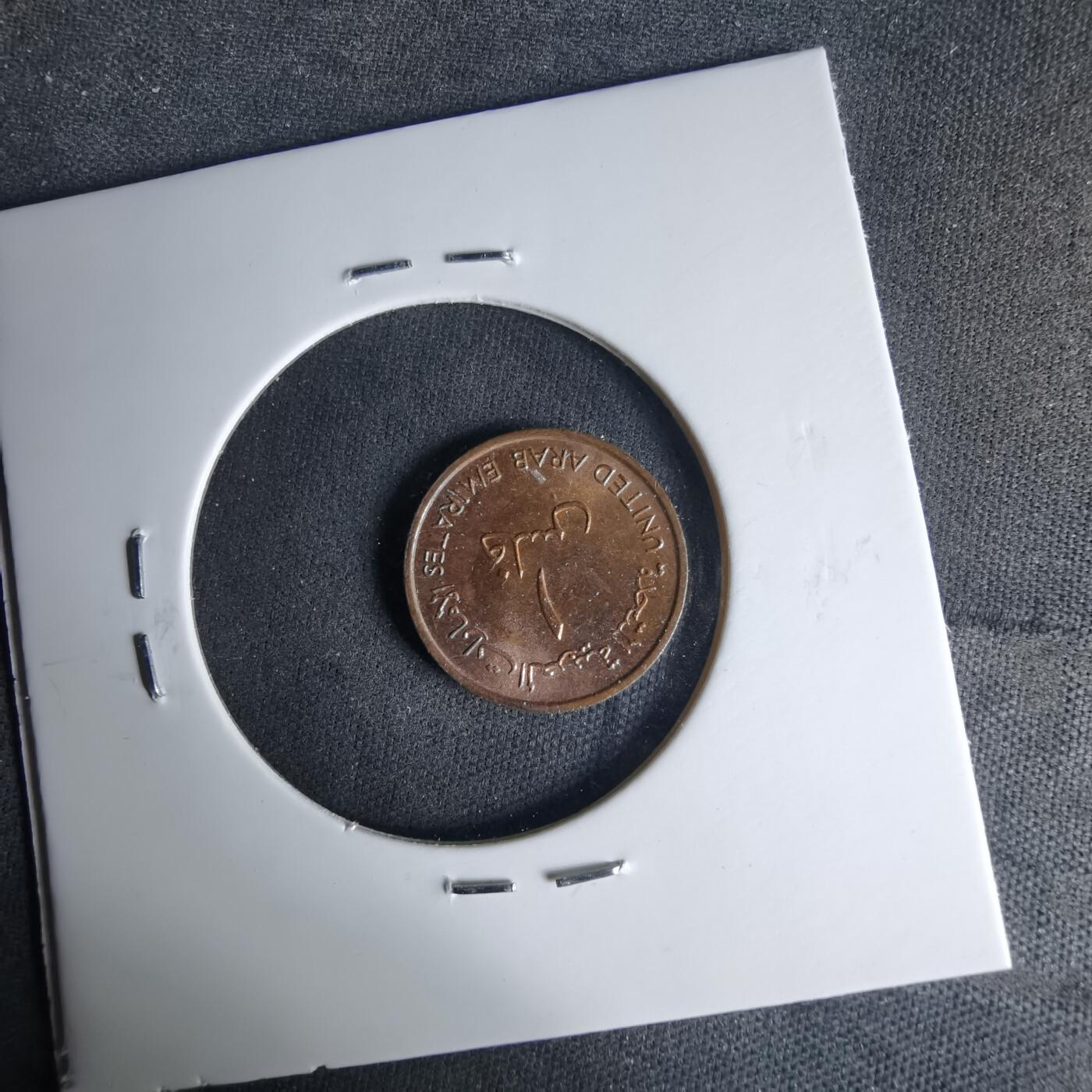 沼泽如烟--第999场