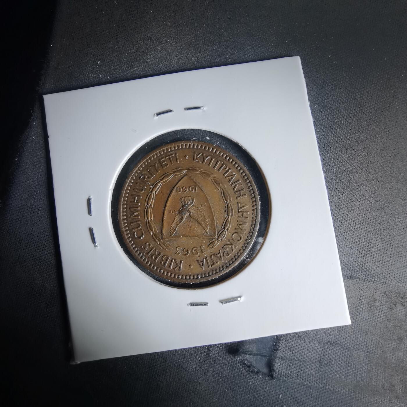 沼泽如烟--第999场