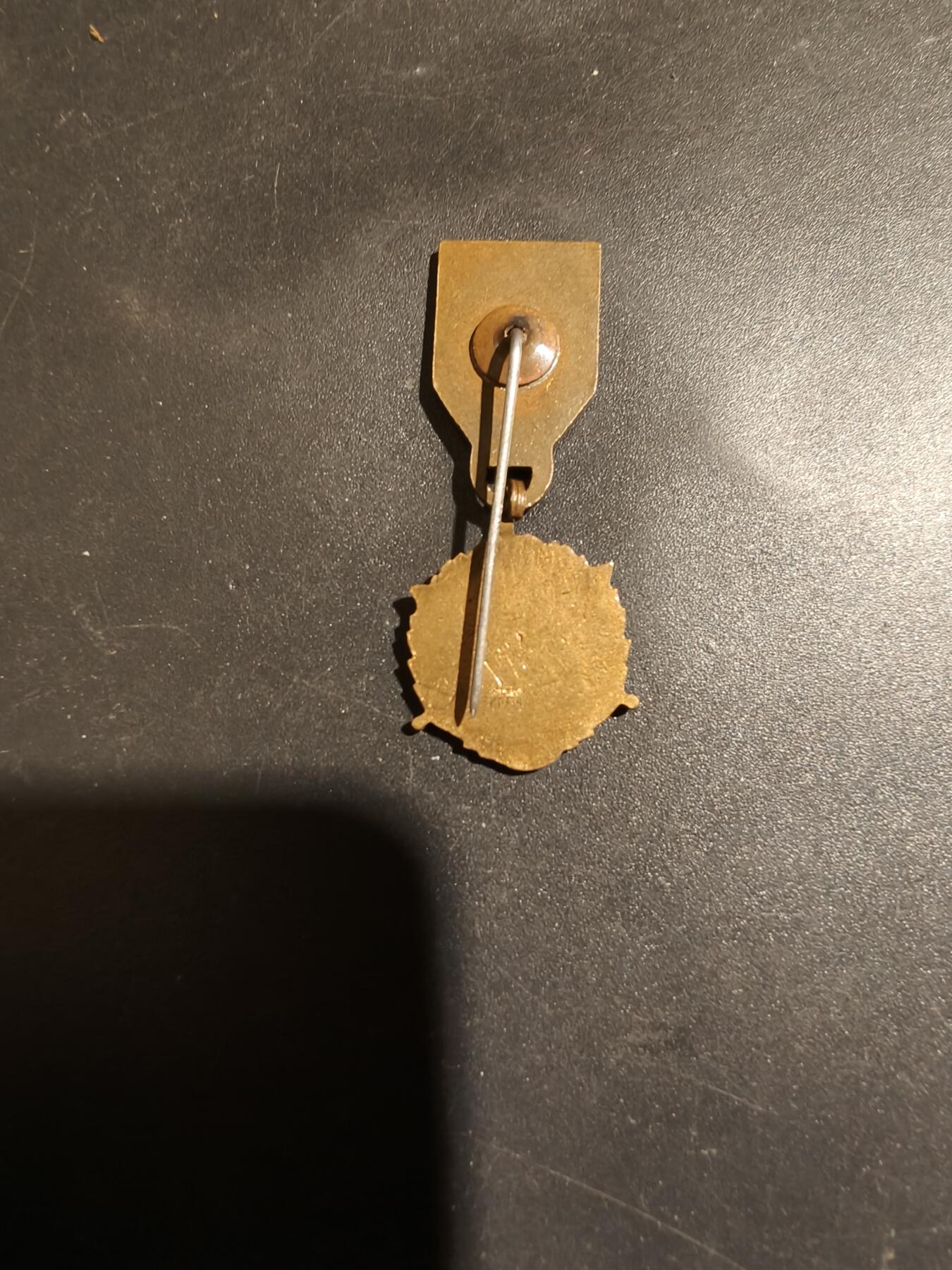 老王徽章第183期 波兰铜级武装力量服务祖国奖章迷你针插